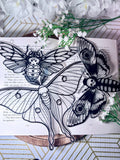 Moth Suncatcher-Decor